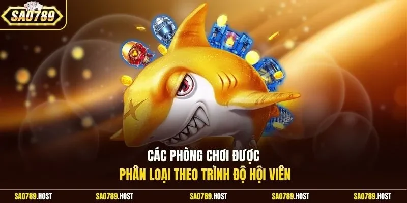 Các phòng chơi được phân loại theo trình độ hội viên