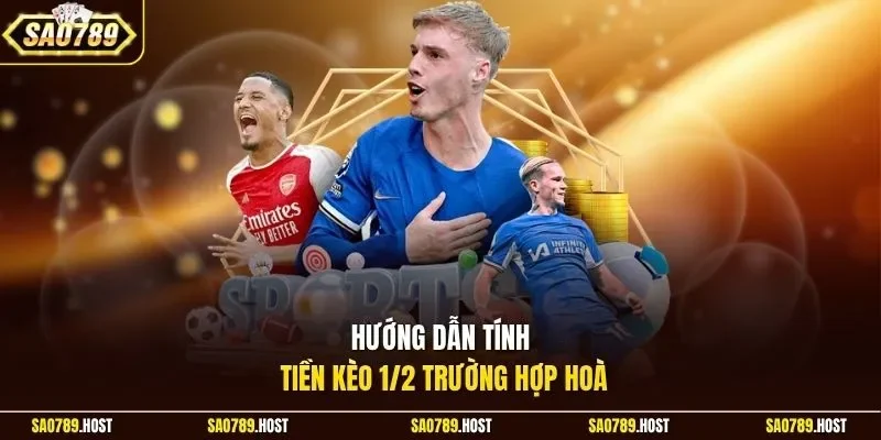 Hướng dẫn tính tiền kèo 1/2 trường hợp hoà