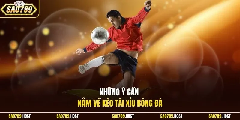 Những ý cần nắm về kèo tài xỉu bóng đá